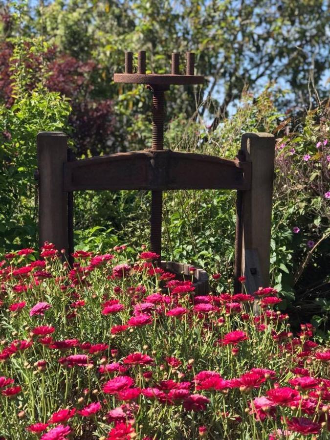 Robin Hoods Well Farm Stay Sassafras Luaran gambar
