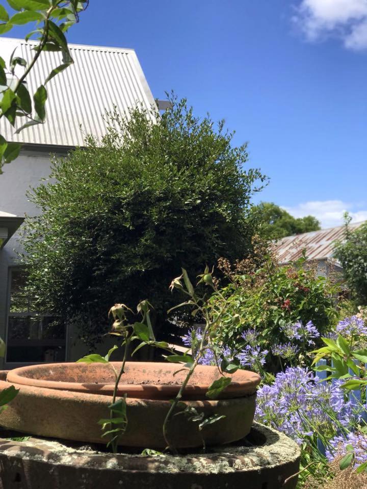 Robin Hoods Well Farm Stay Sassafras Luaran gambar