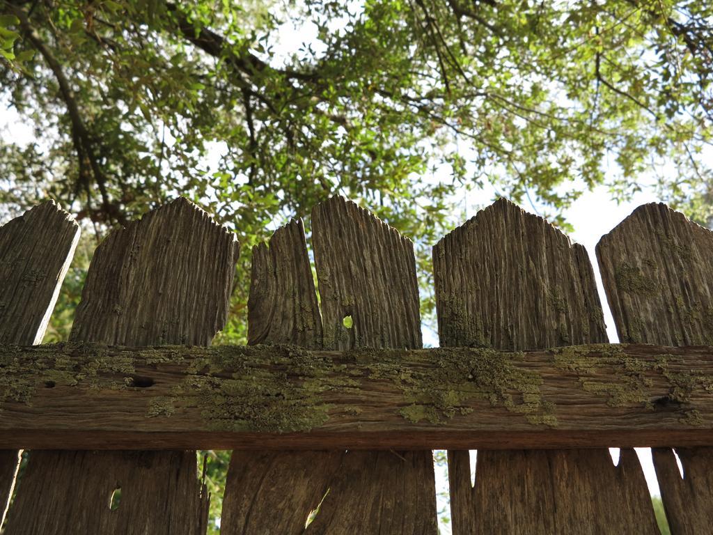 Robin Hoods Well Farm Stay Sassafras Luaran gambar