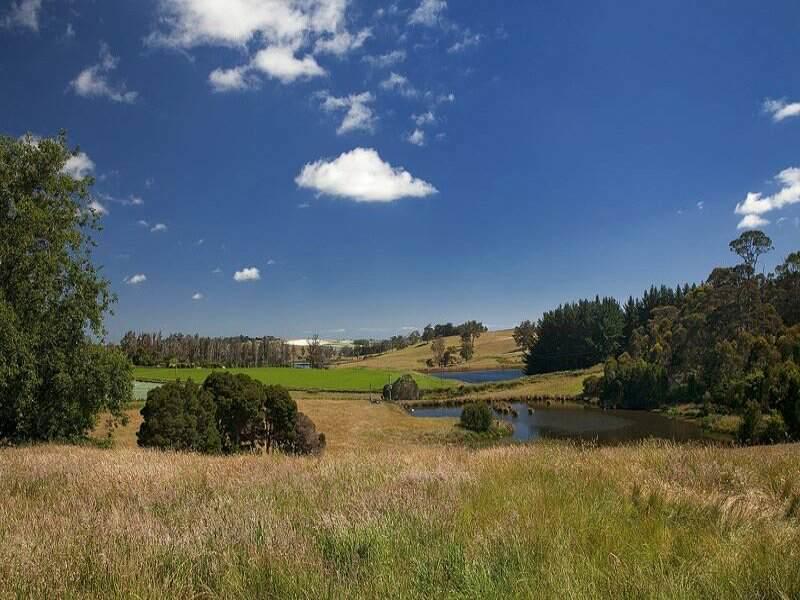 Robin Hoods Well Farm Stay Sassafras Luaran gambar